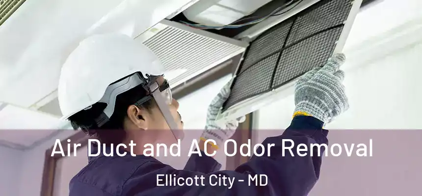 Air Duct and AC Odor Removal Ellicott City - MD