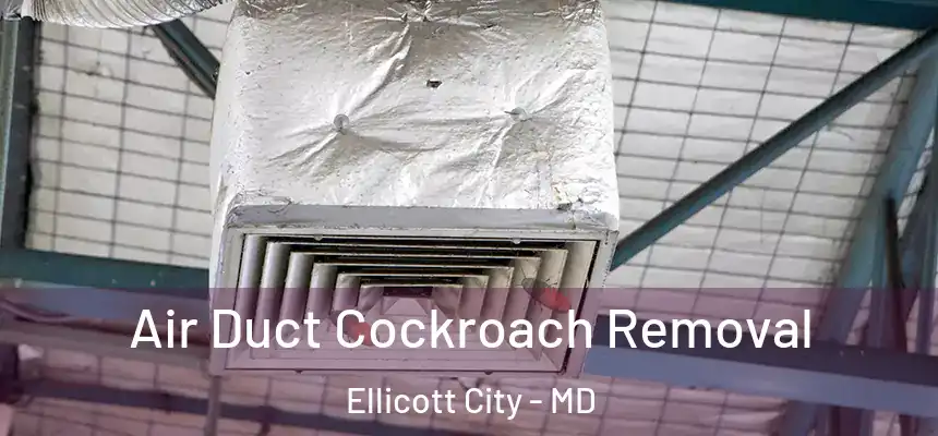 Air Duct Cockroach Removal Ellicott City - MD