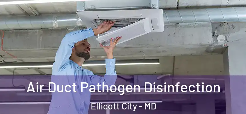  Air Duct Pathogen Disinfection Ellicott City - MD