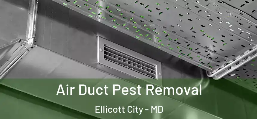 Air Duct Pest Removal Ellicott City - MD