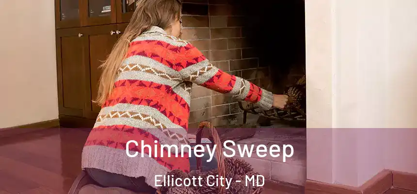 Chimney Sweep Ellicott City - MD