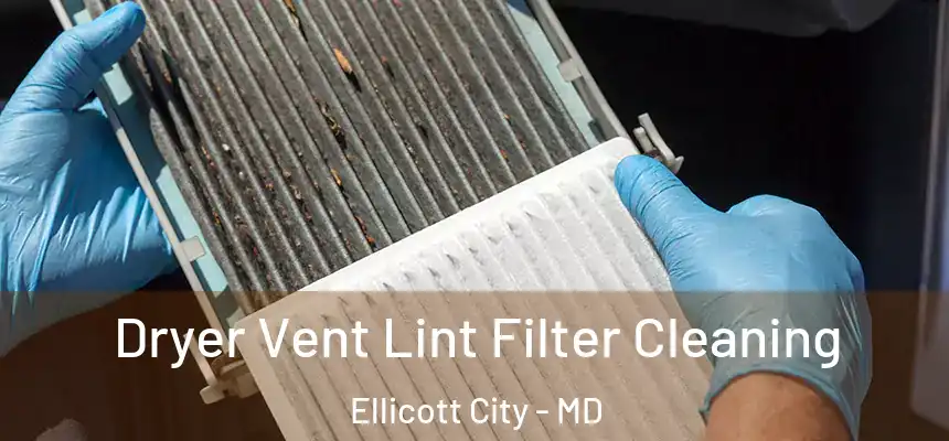 Dryer Vent Lint Filter Cleaning Ellicott City - MD