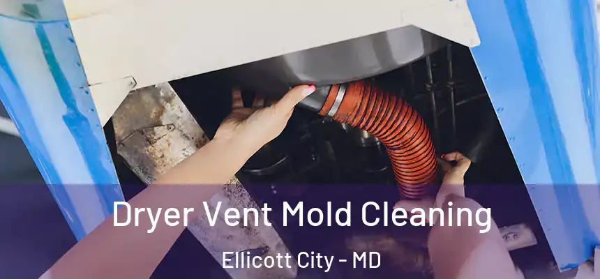 Dryer Vent Mold Cleaning Ellicott City - MD