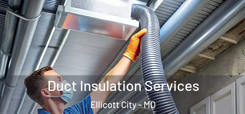 Duct Insulation Services Ellicott City - MD