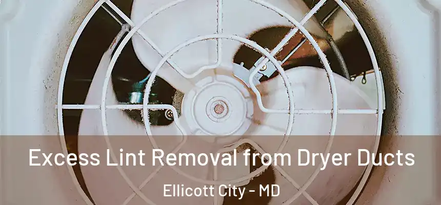 Excess Lint Removal from Dryer Ducts Ellicott City - MD