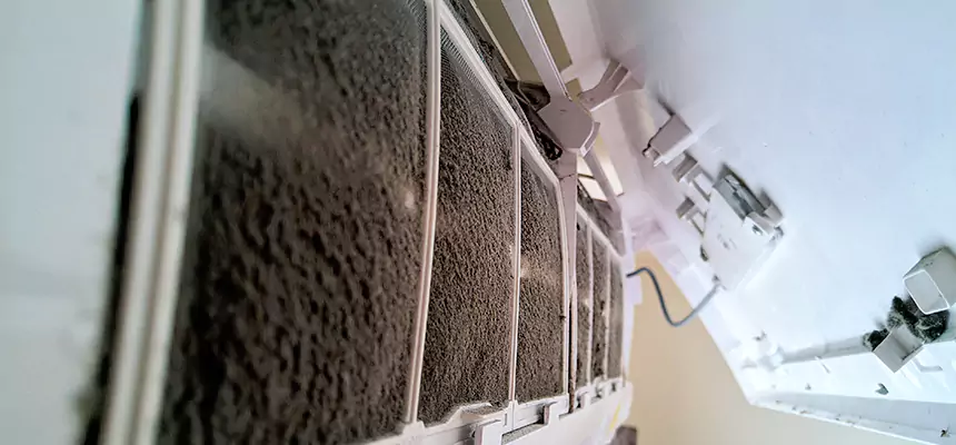 Preventive Air Duct Bacteria Removal in Ellicott City