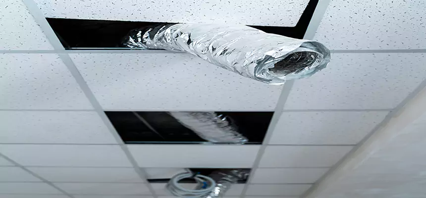 Our Air Duct Pet Hair Removal Services in Ellicott City, MD