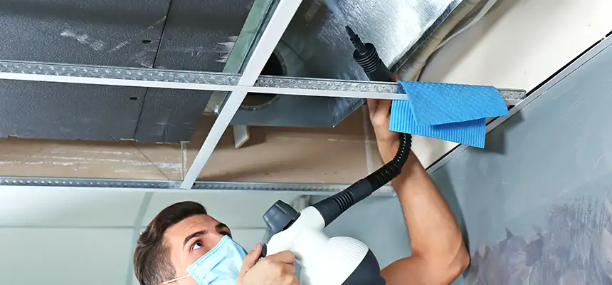 Our Air Duct Rodent Removal Services in Ellicott City, MD