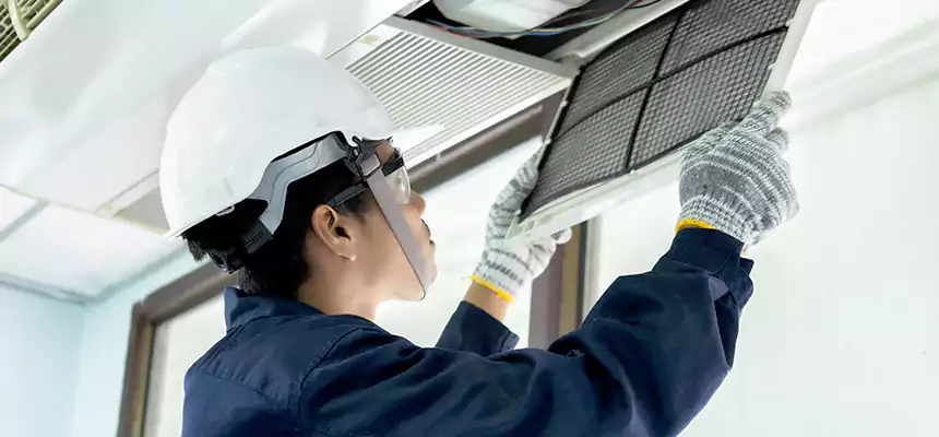 Our Mold & Mildew Removal from Air Ducts Services in Ellicott City, MD