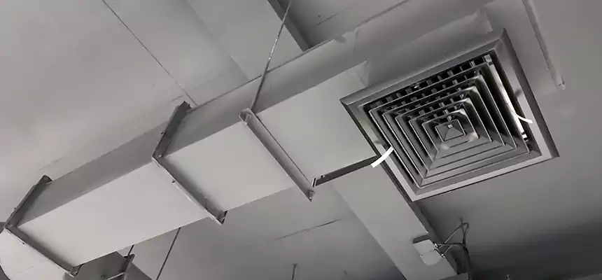 Our Pest Removal From Ducts Services in Ellicott City, MD