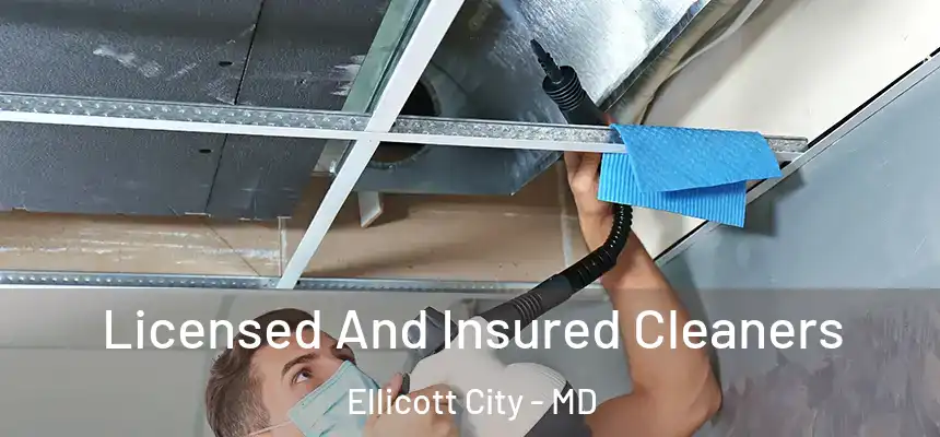 Licensed And Insured Cleaners Ellicott City - MD