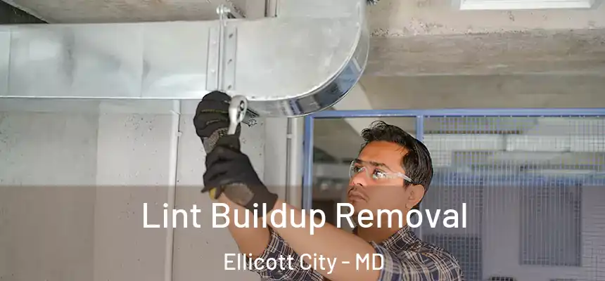 Lint Buildup Removal Ellicott City - MD