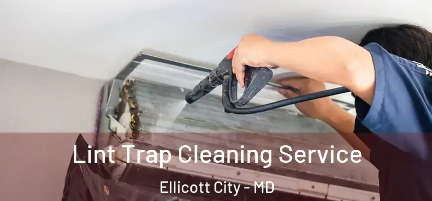 Lint Trap Cleaning Service Ellicott City - MD