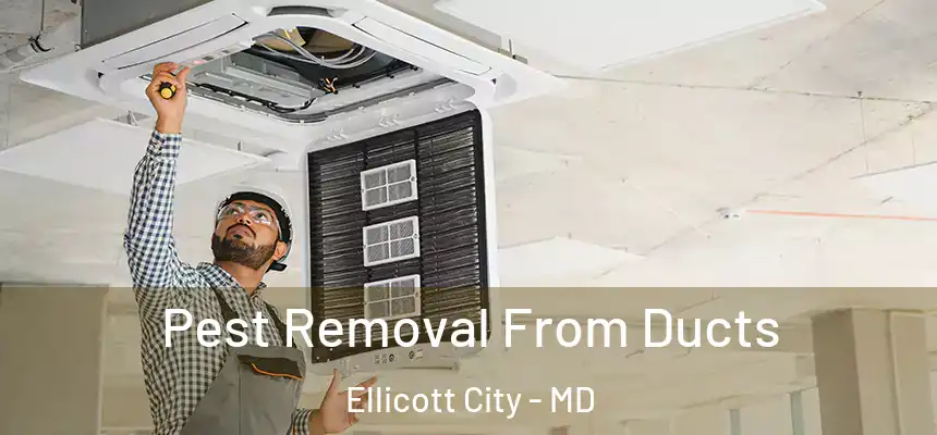 Pest Removal From Ducts Ellicott City - MD