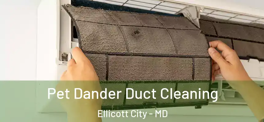 Pet Dander Duct Cleaning Ellicott City - MD