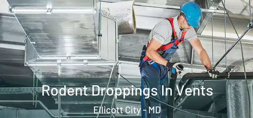 Rodent Droppings In Vents Ellicott City - MD