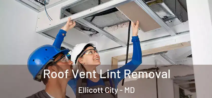 Roof Vent Lint Removal Ellicott City - MD