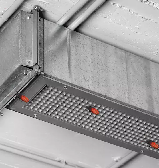 About Air Duct Cockroach Removal in Ellicott City, MD