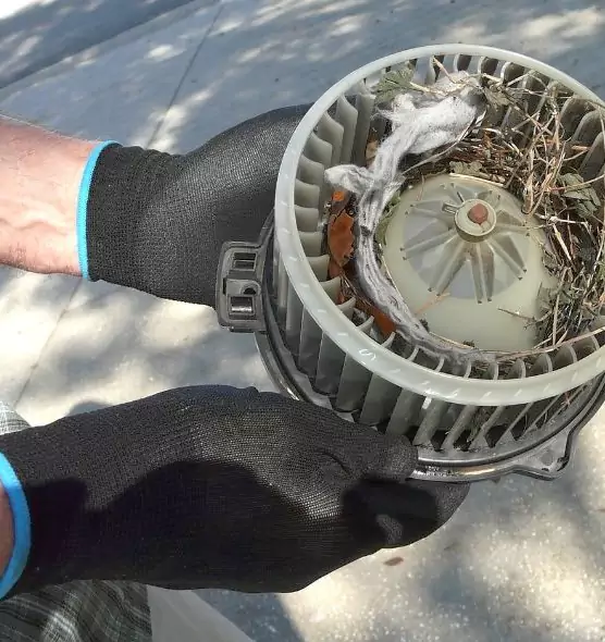 About Air Duct Mice Removal in Ellicott City, MD