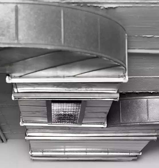 Professional Air Duct Pet Hair Removal in Ellicott City, MD