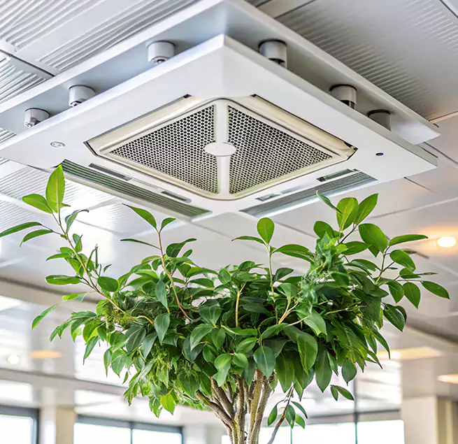 Why Homeowners & Businesses Trust Us in Ellicott City, MD?