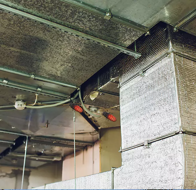 Why Homeowners & Businesses Trust Us Ellicott City, MD?