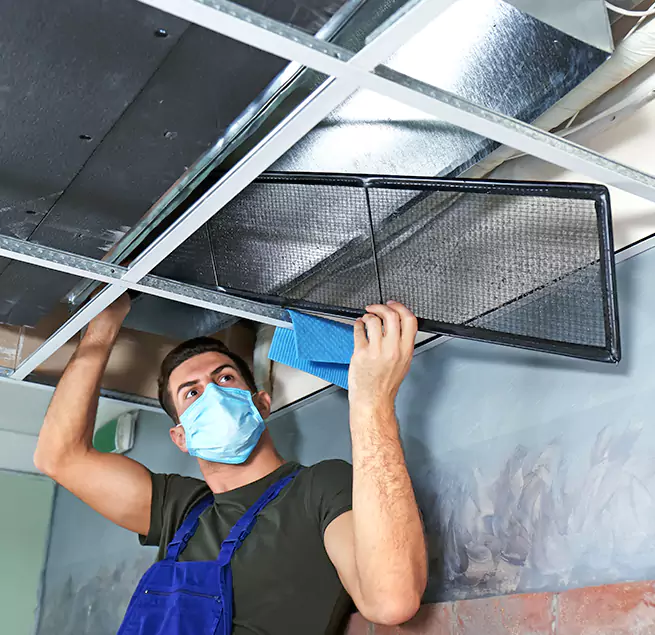 Why Homeowners & Businesses Trust Us in Ellicott City, MD?